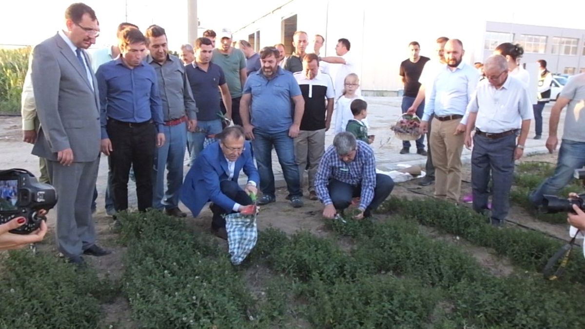 Burhaniye Aromatik ve Tıbbi Bitkiler Merkezi Olacak