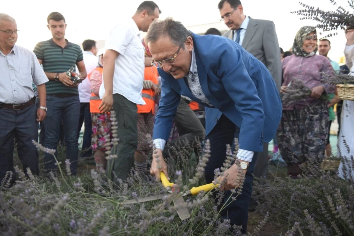 Çiftçi Eğitim Merkezi\'nde İlk Hasat Başkan Uğur\'dan