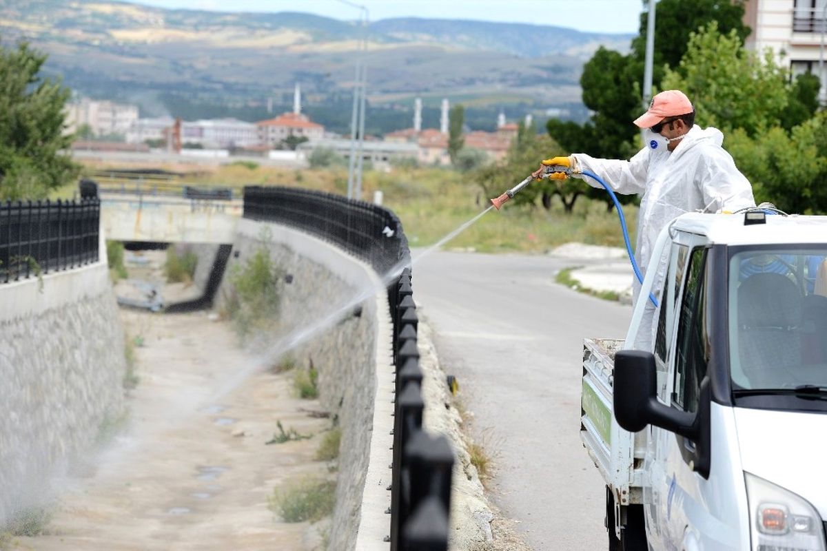 Çorum Belediyesi, Vektörel Mücadeleye Devam Ediyor