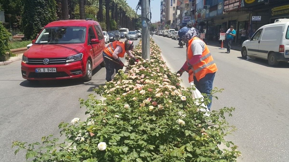 Herkes Denizde, Onlar Kavurucu Sıcakta Mesaide