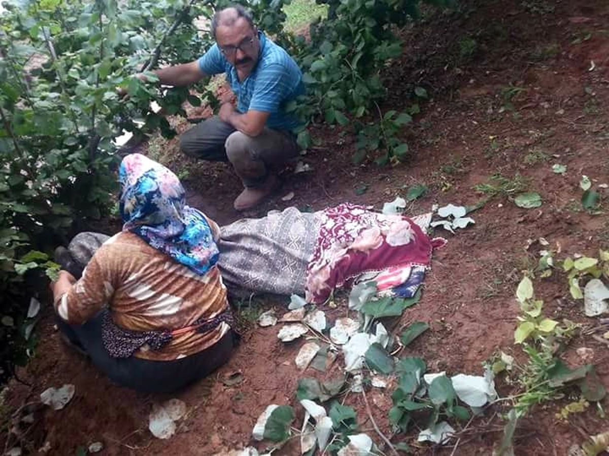 Ihlamur Ağacından Düşen Kadın Öldü