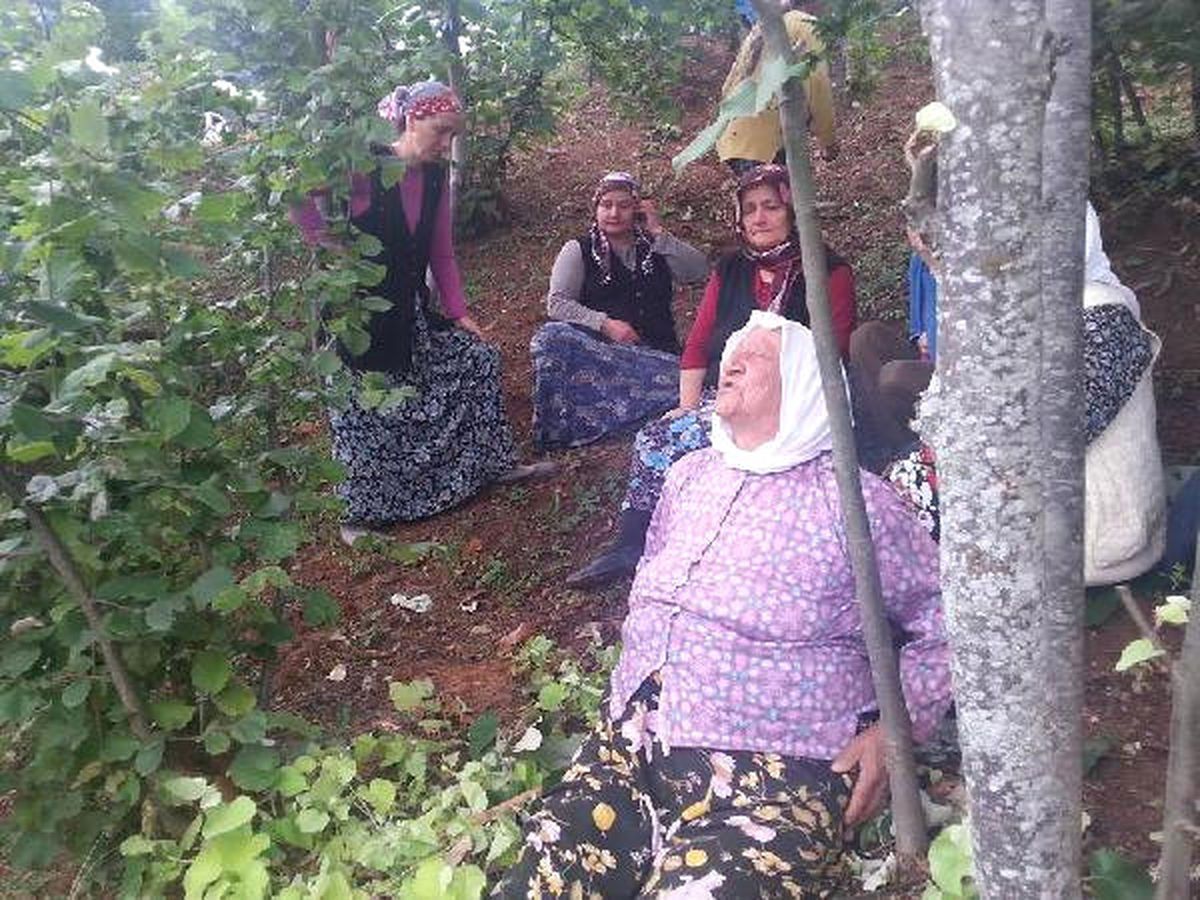 Ihlamur Ağacından Düşen Kadın Öldü