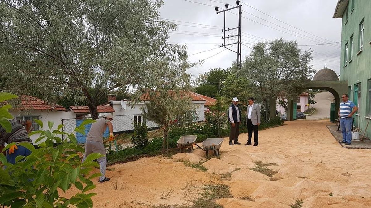 Pazaryeri\'nde Parke Çalışmaları