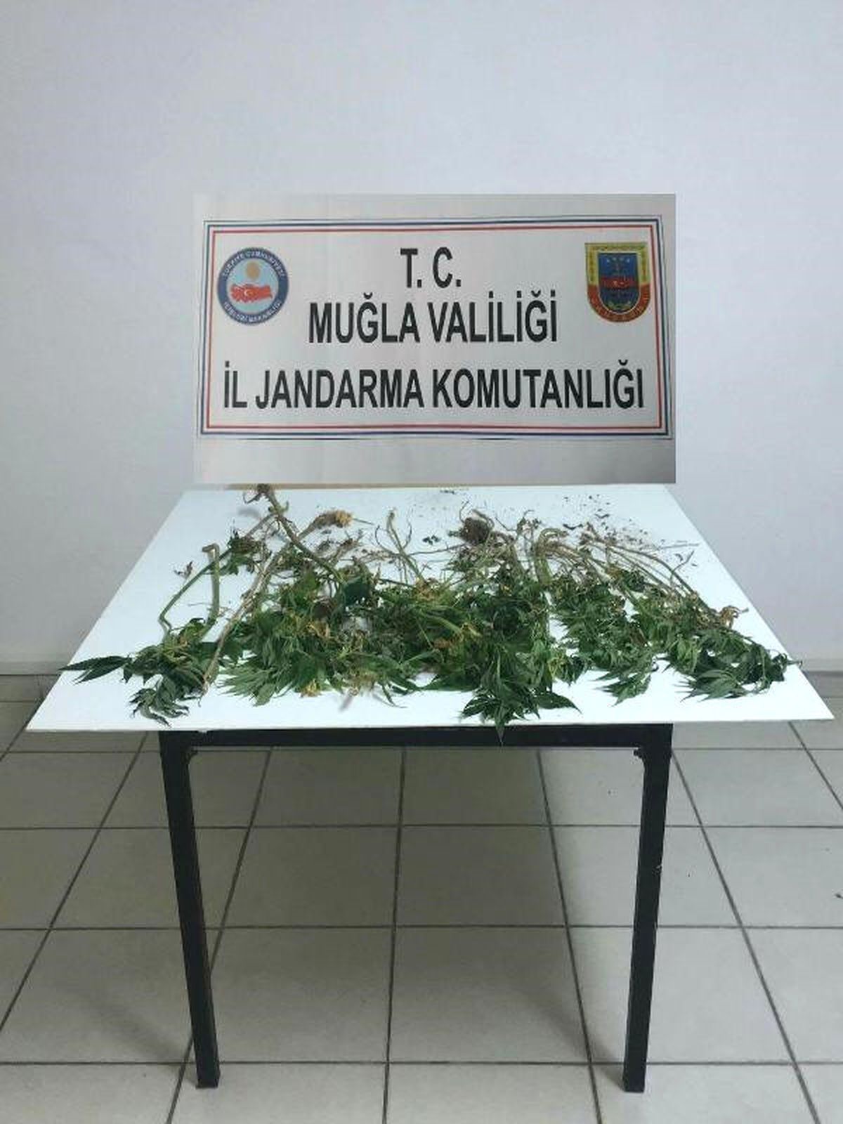 Tarlada Hintkeneviri Ele Geçirildi