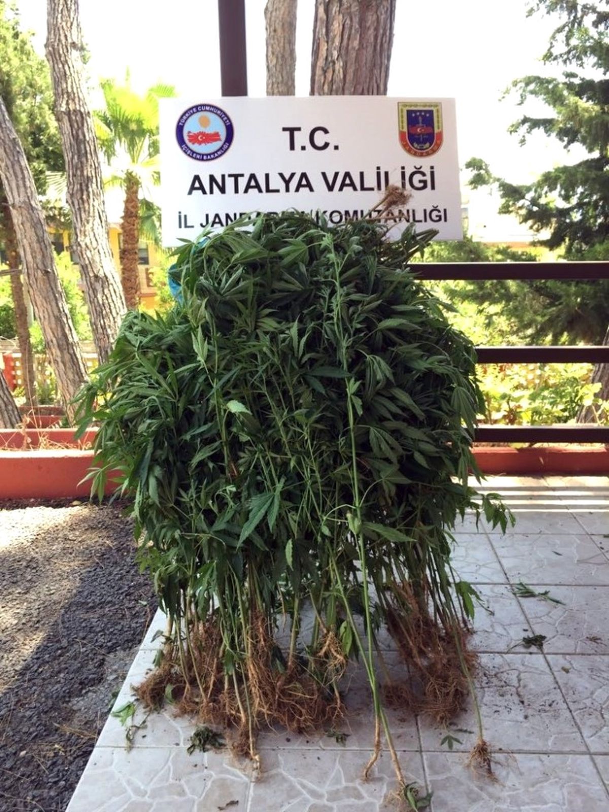 Alanya\'da Uyuşturucu Operasyonu