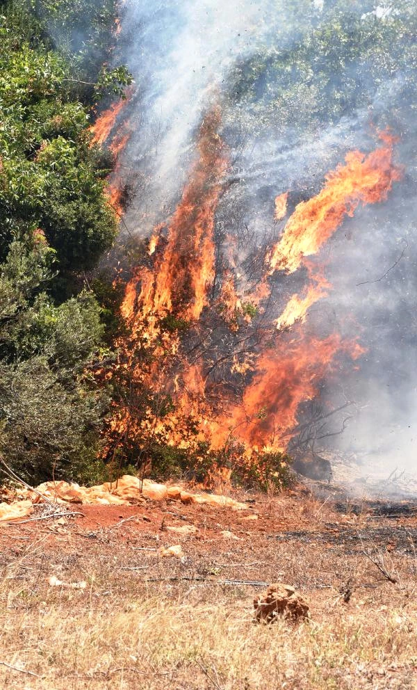 Antalya'da Korkutan Yangın 5 Ev Boşaltıldı - Son Dakika