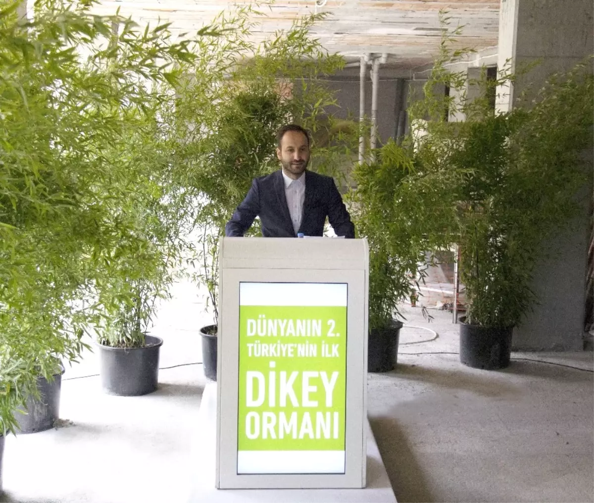 Dikey Orman\'ın İlk Ağacı 40 Metre Yüksekliğe Dikildi