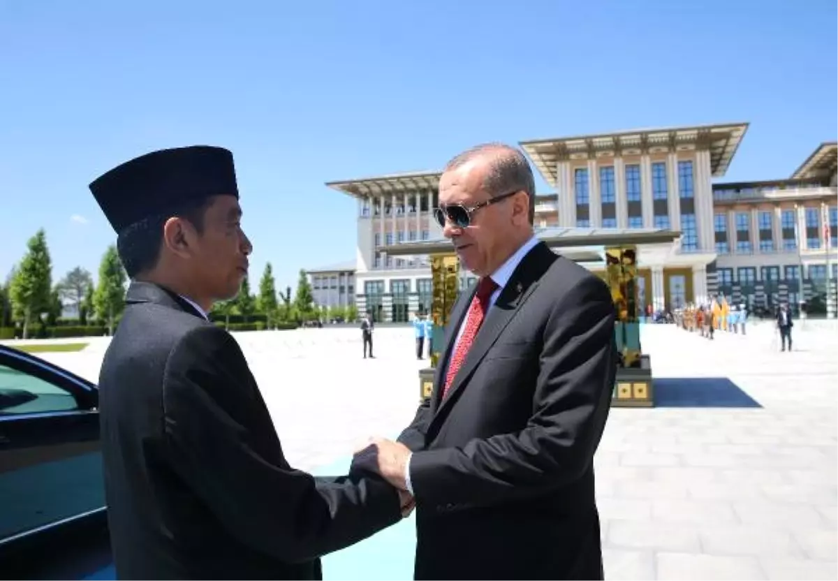 Endonezya Cumhurbaşkanı Widodo Ankara\'da