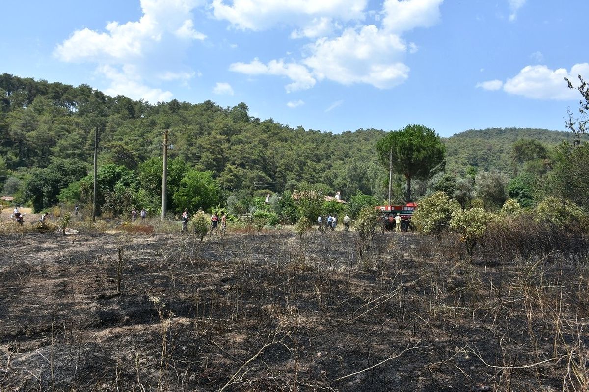 Marmaris\'te Arazi Yangını Büyümeden Söndürüldü