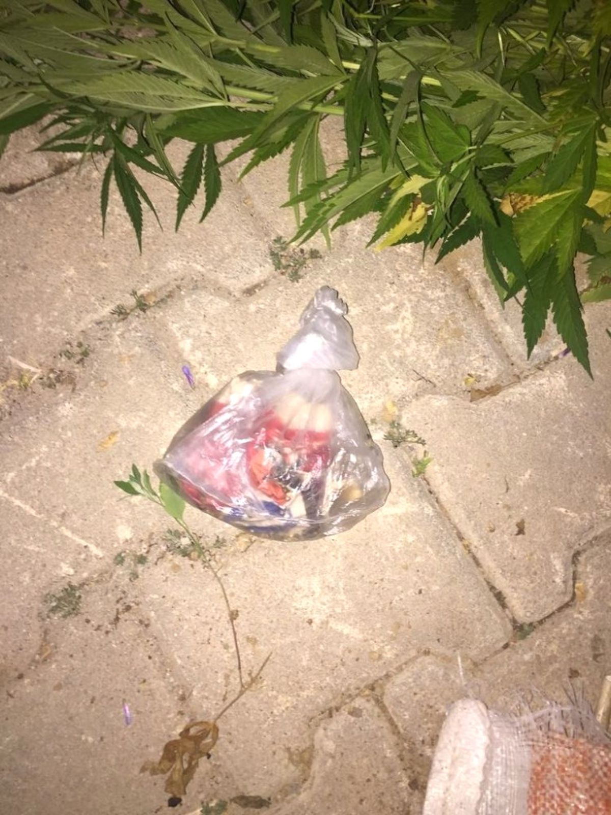 Polis 91 Kök Kenevir Ele Geçirdi