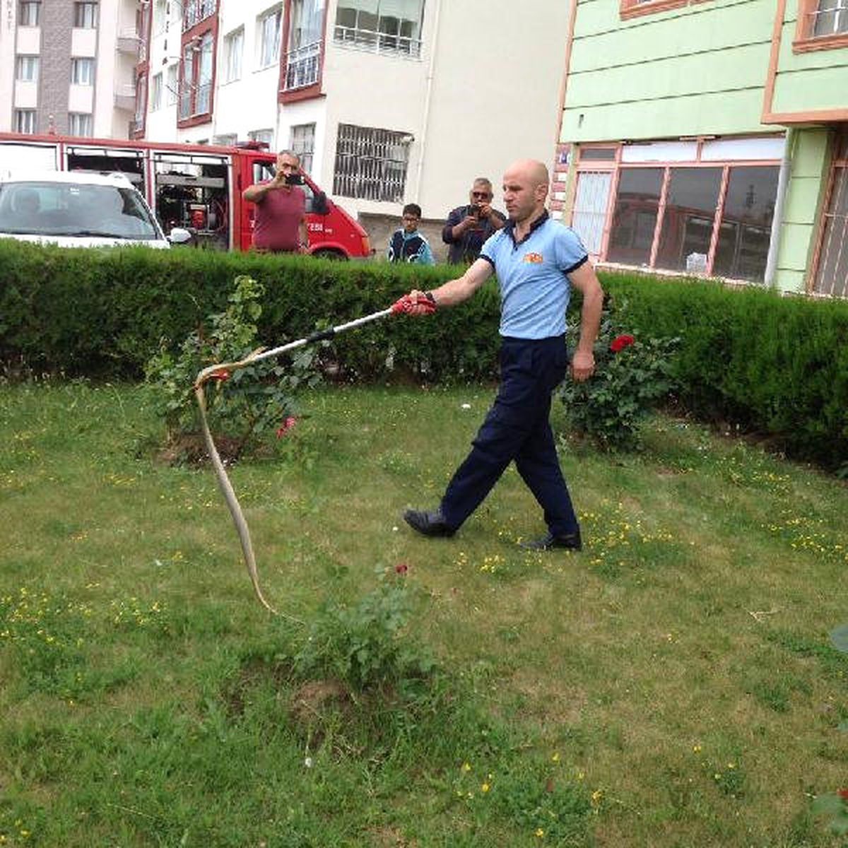 Site Bahçesinde 1.5 Metrelik Yılan Yakalandı