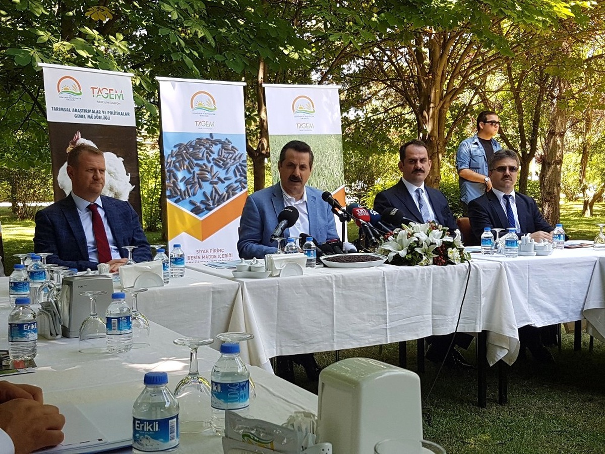 Türkiye\'den Yeni Bir Adım: Yerli Tavuk Anadolu T ve Siyah Pirinç