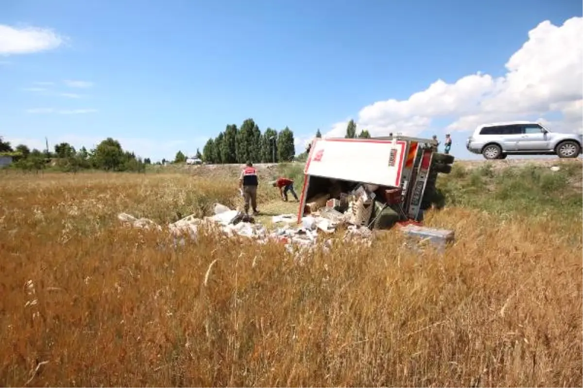 Yemek Kamyoneti Tarlaya Devrildi: 1 Ölü, 4 Yaralı