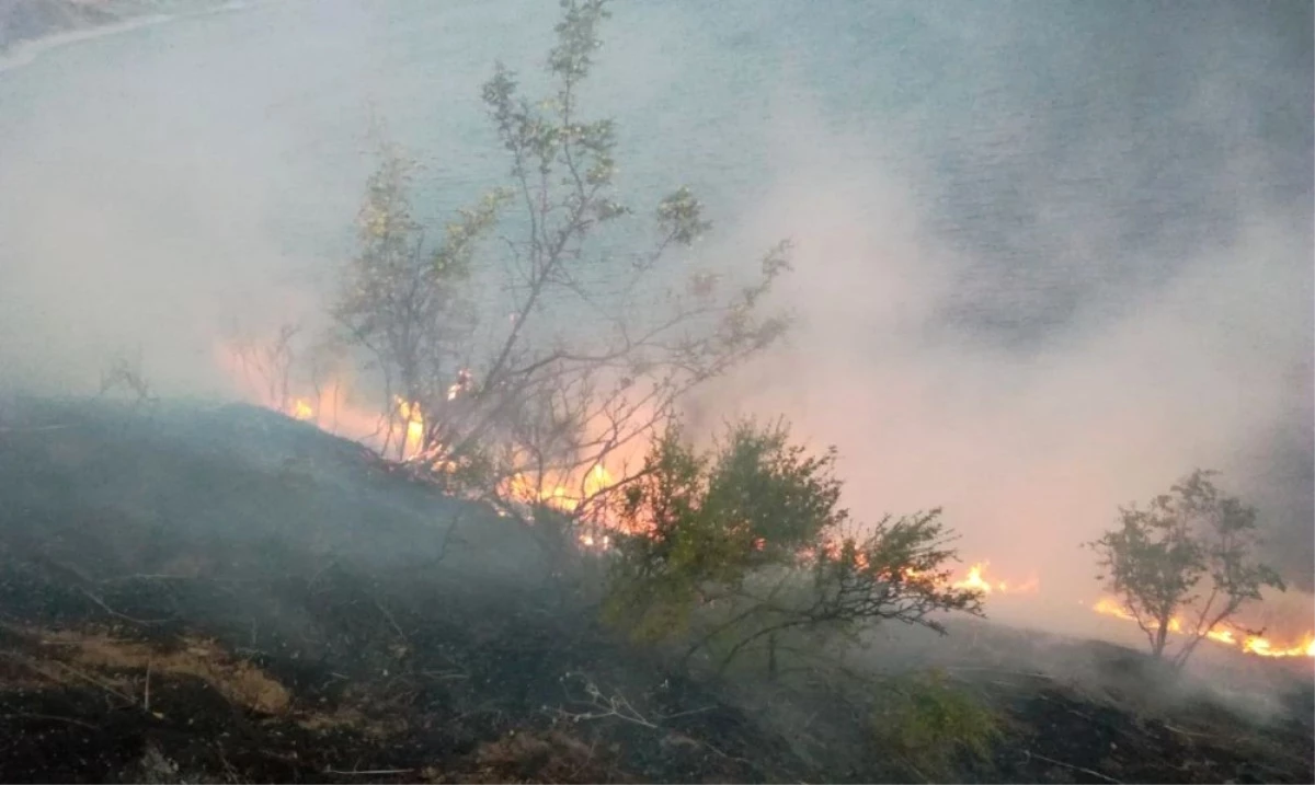 Doğanyol\'daki Arazi Yangını Güçlükle Kontrol Altına Alındı
