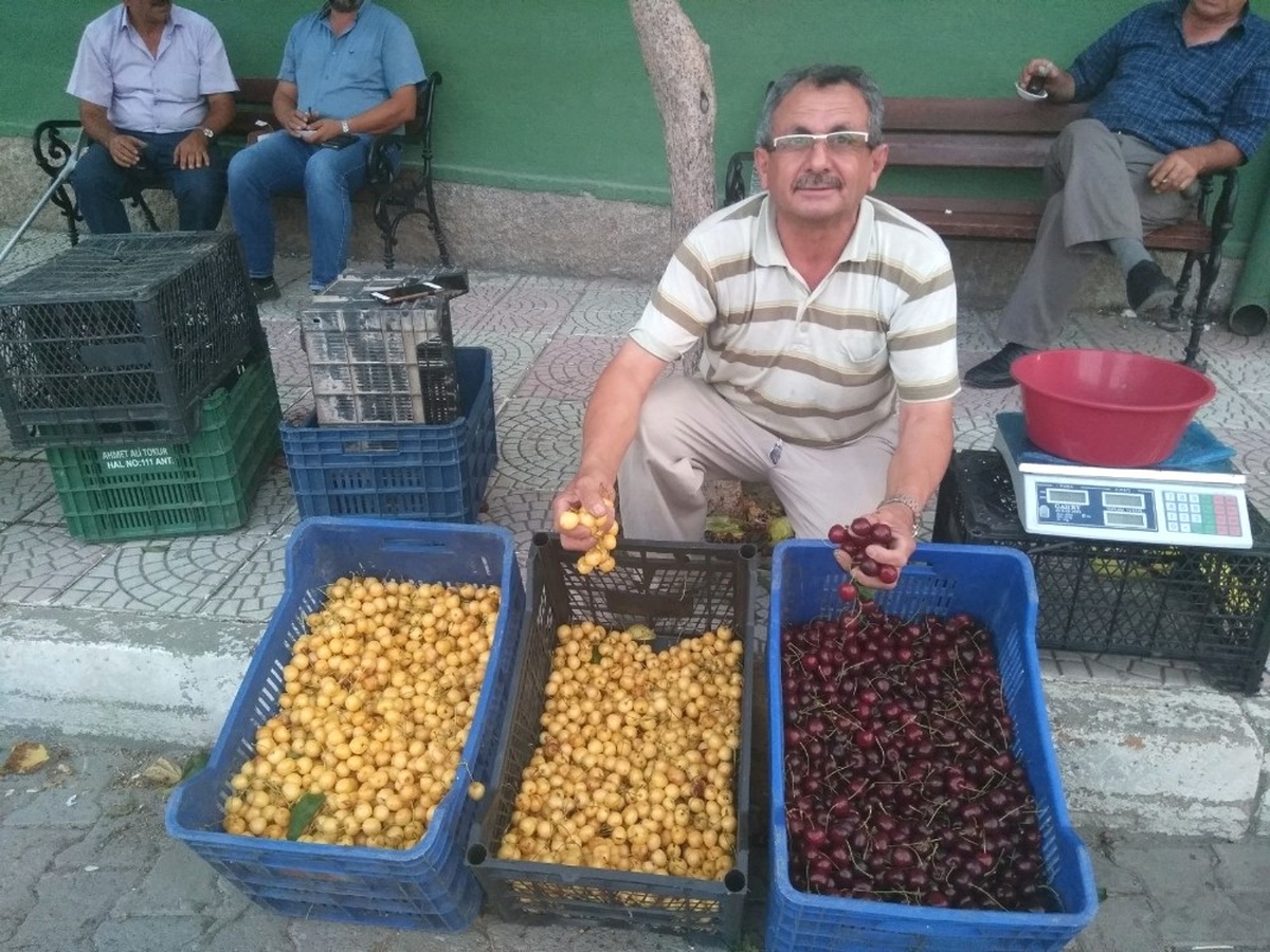 Hisarcık\'ta Beyaz Kiraza Rağbet Arttı