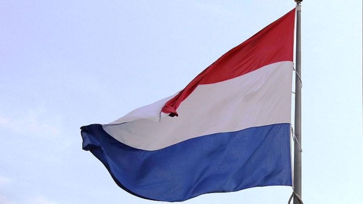 Hollanda\'dan 15 Temmuz Etkinliği Açıklaması