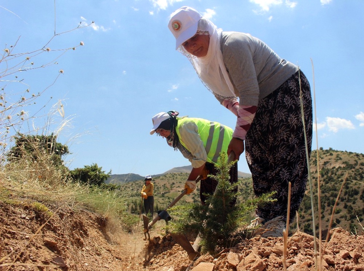 Kadınlar Fidanla Ev Ekonomilerine Destek Oluyor