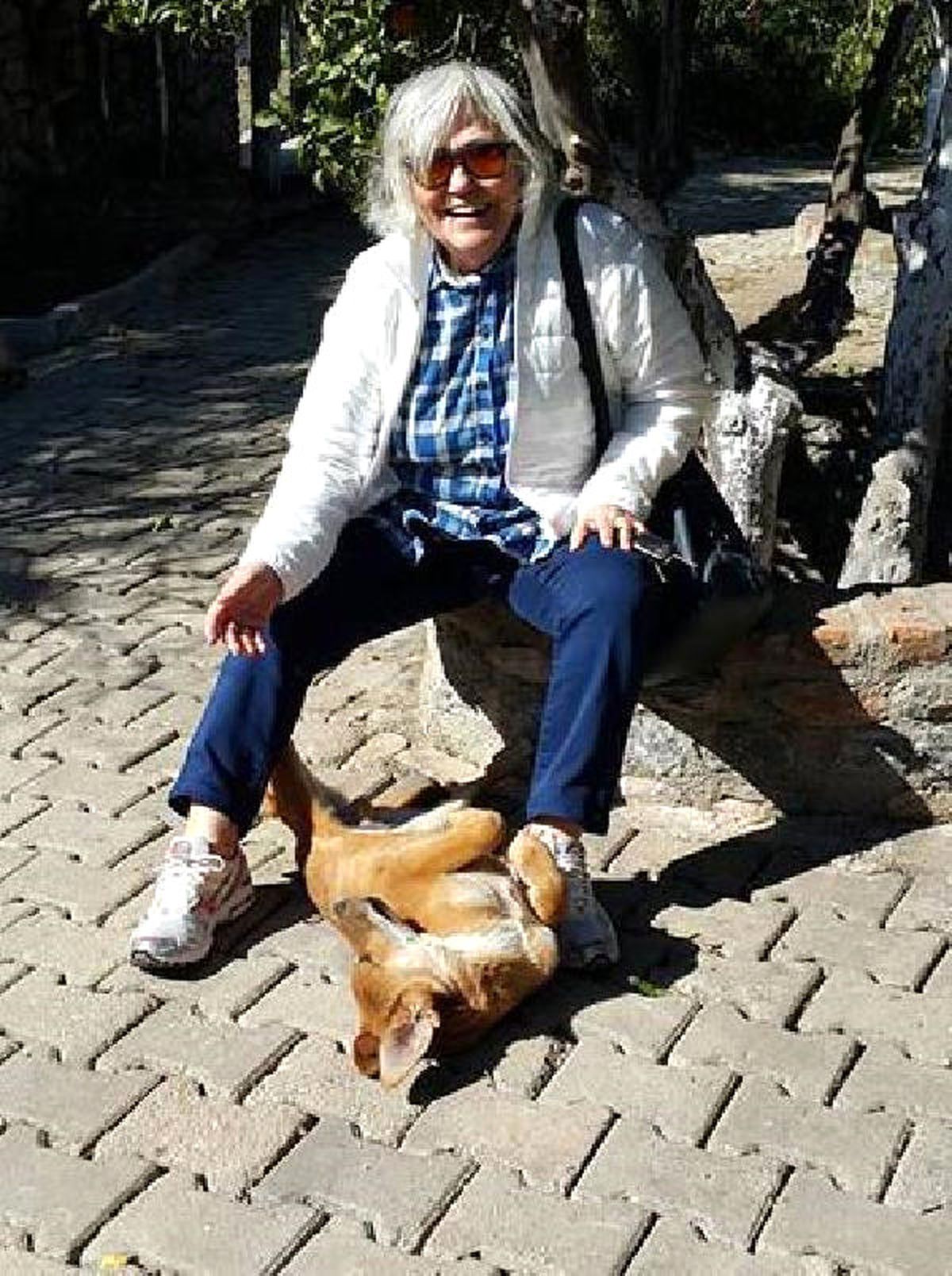 Liza\'yı Av Tüfeğiyle Vurup Yaralayan Kişi Hakkında Suç Duyurusu