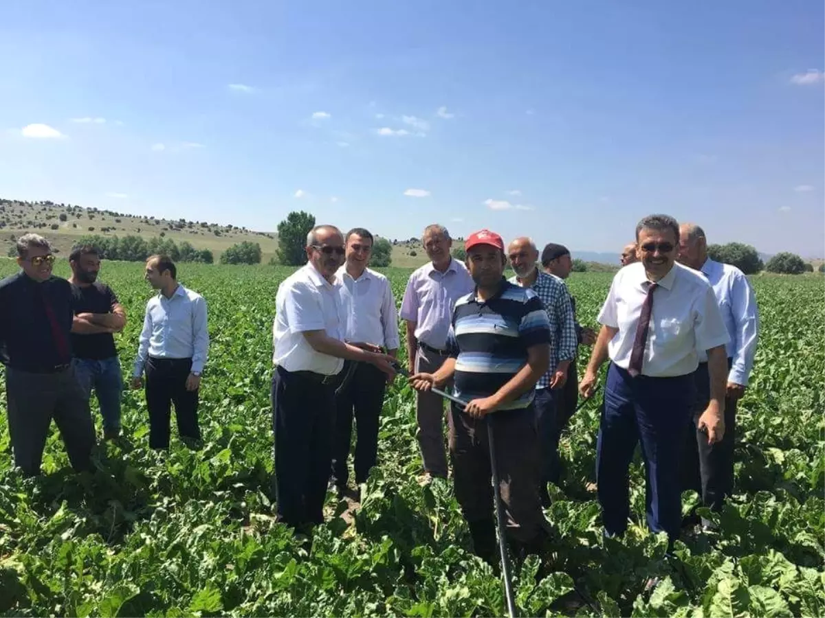 Tarla İçi Damla Sulama Sistemleri İlk Kez Aslanapa\'da Uygulanıyor