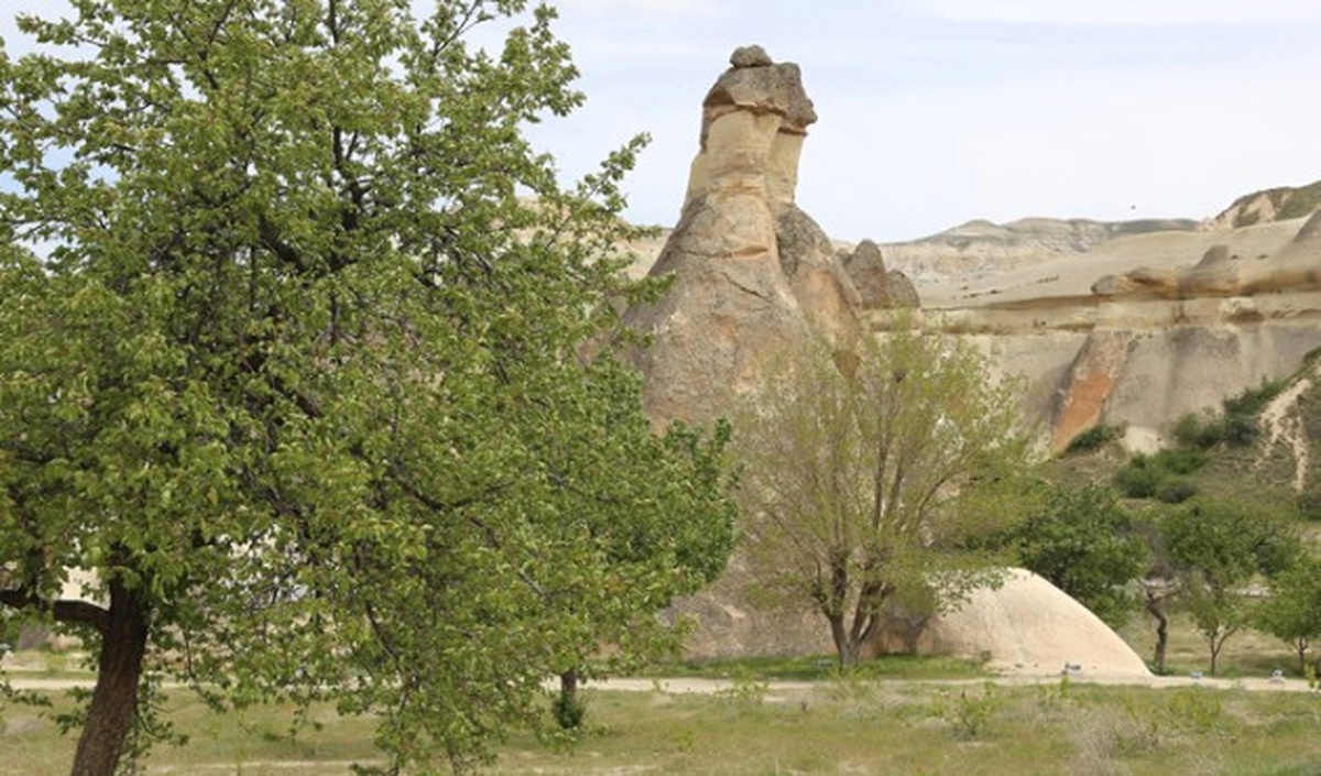 Turist Rehberleri Kapadokya İçin Kolları Sıvadı