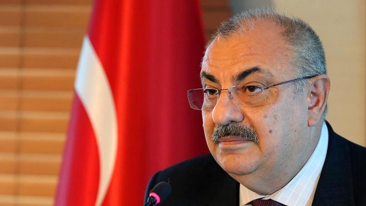 Türkeş\'ten Hollanda\'nın Açıklamasına Tepki