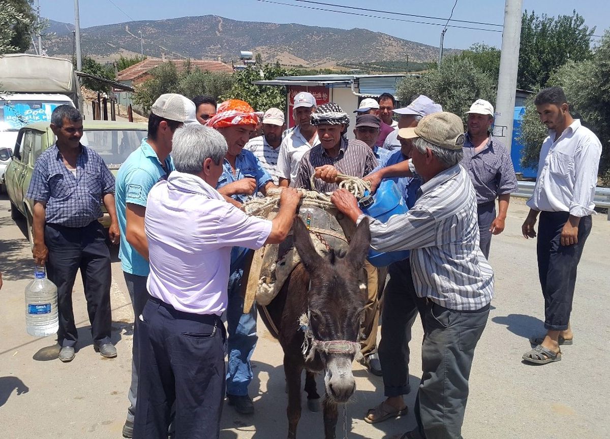 Yıl 2017 Ama Eşeklerle Su Taşıyorlar