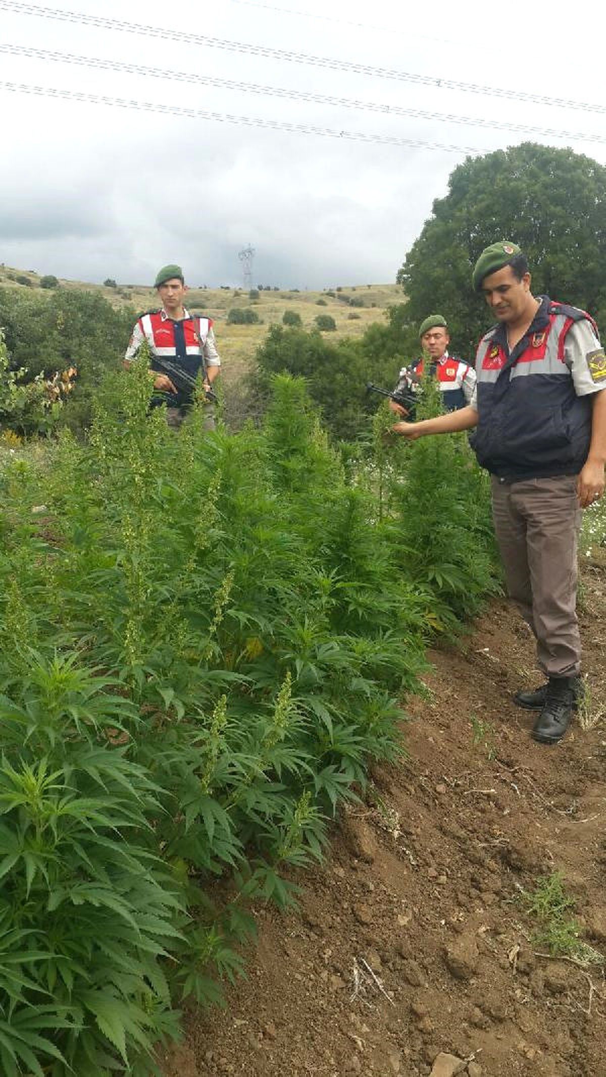 Çorum\'da Hintkeneviri Operasyonu