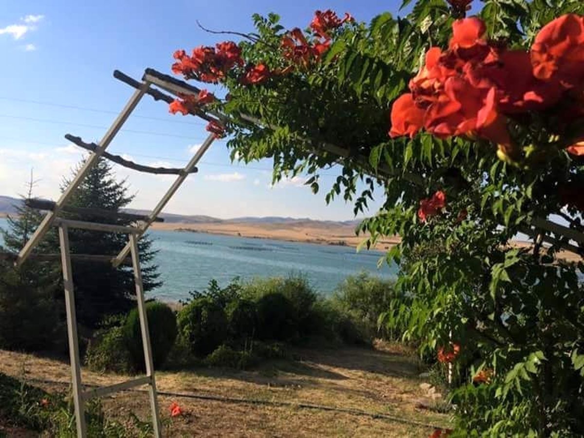 Çuğun Barajı Çevresine Besi Çiftliği Kurulacağı İddiaları