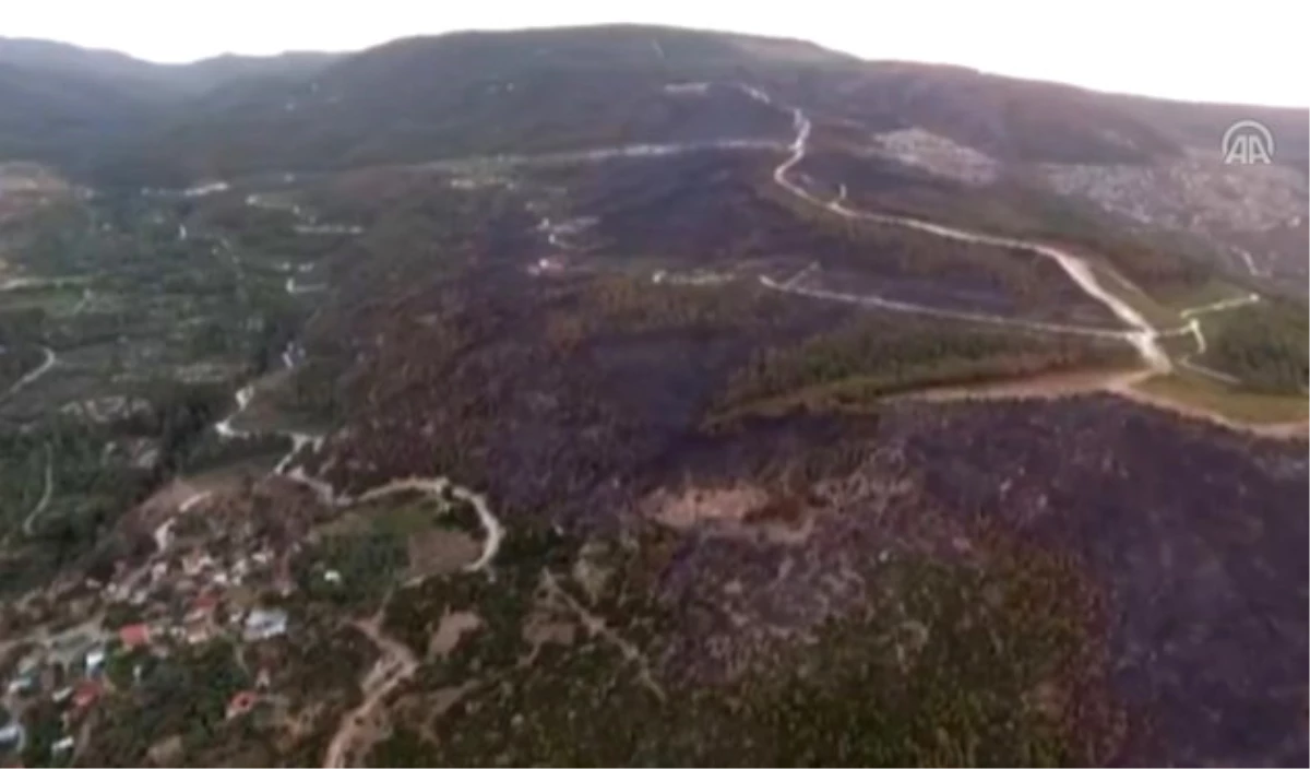Denizli\'deki Orman Yangınlarında 8 Hektar Alan Yandı