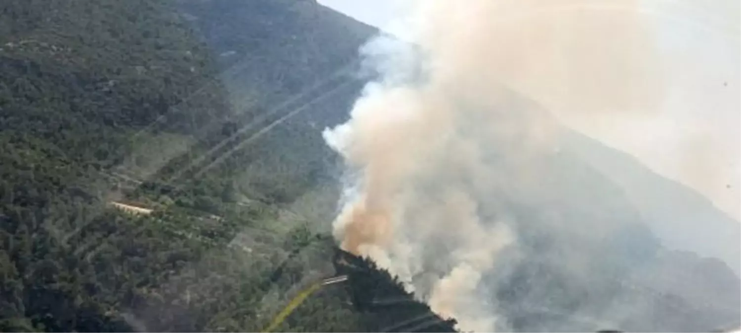 Denizli\'nin Çameli ve Kale İlçelerinde Orman Yangını