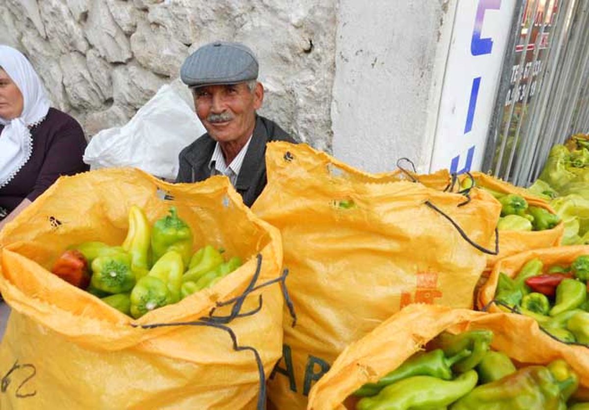 Denizli\'nin Tescilli "Kale Biberi"Nde Hasat Zamanı