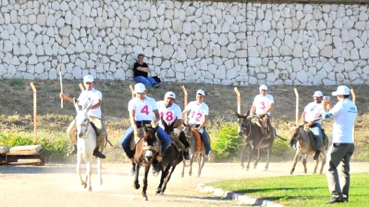 Eşeğe Düz Binme, Eşeğe Ters Binme, En Güzel Gözlü Eşek" Yarışmaları