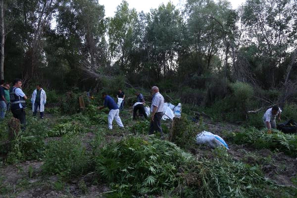 Kahramankazan\'da Polisin Hintkeneviri Operasyonu