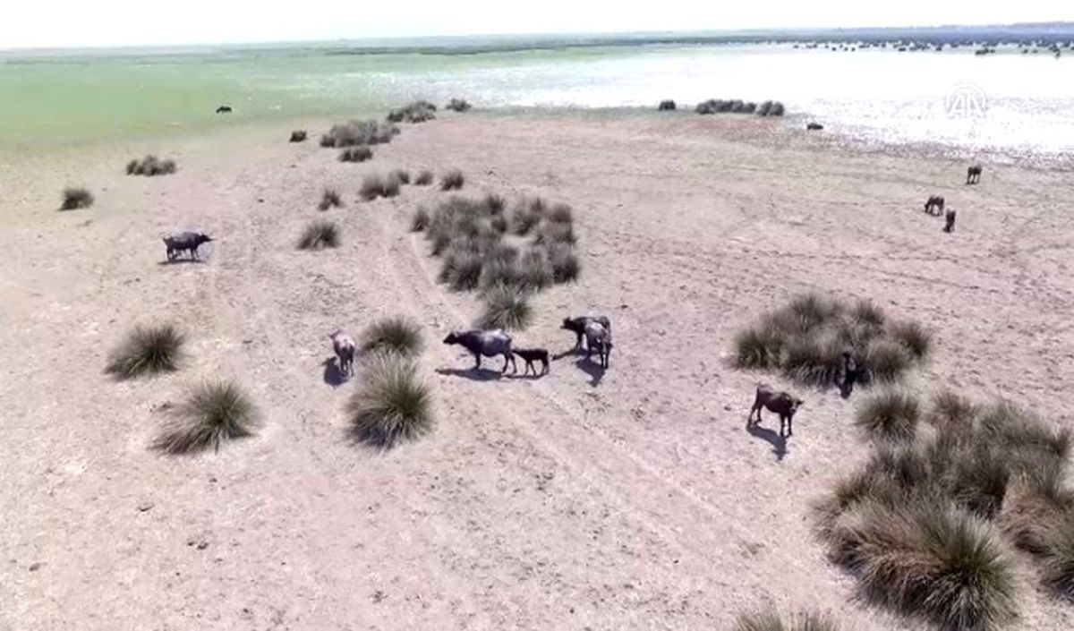 Kızılırmak Deltası Turizmin Gözdesi Olacak