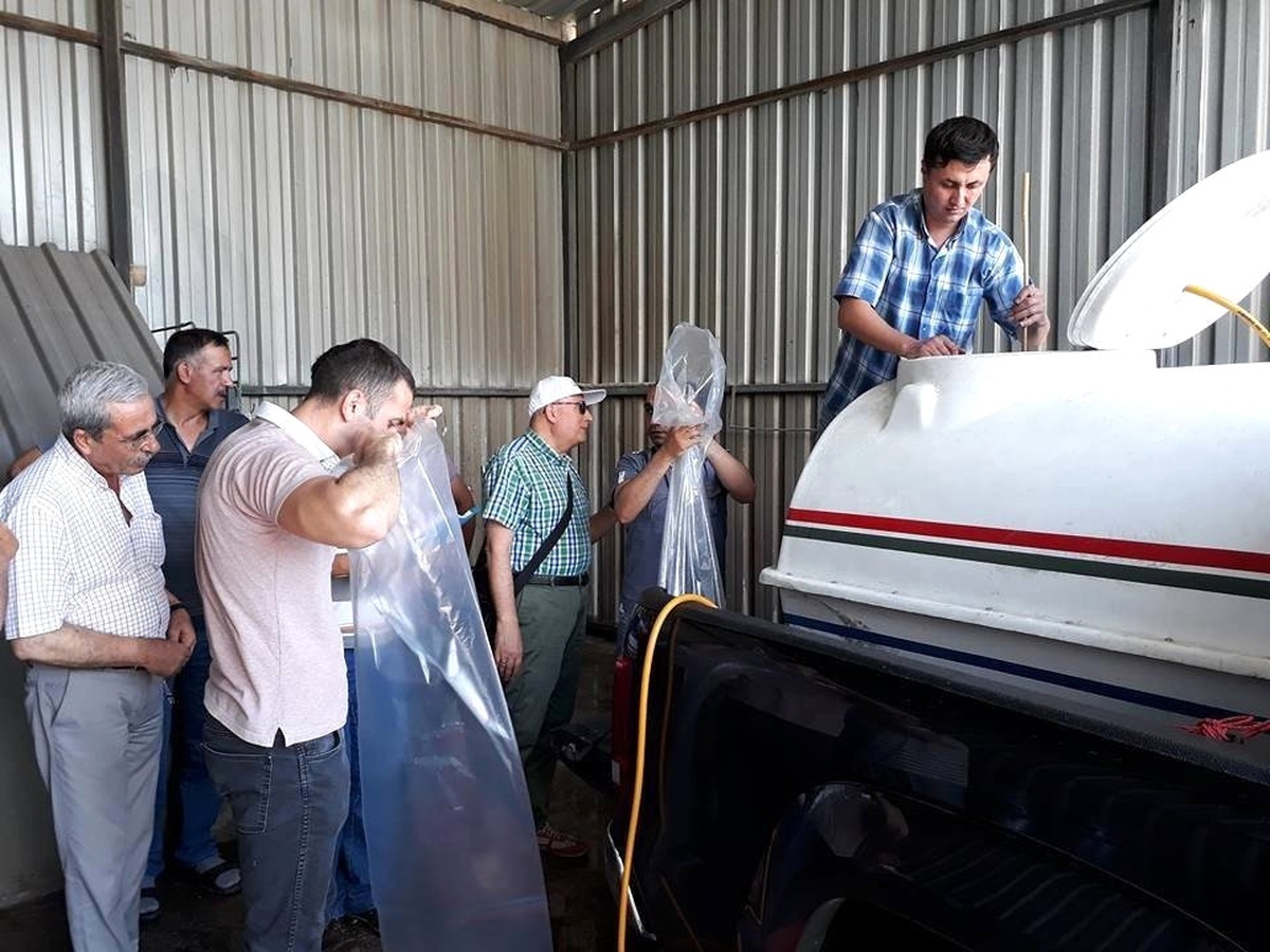 Konya\'nın Su Kaynaklarına 136 Bin Yavru Sazan Bırakıldı