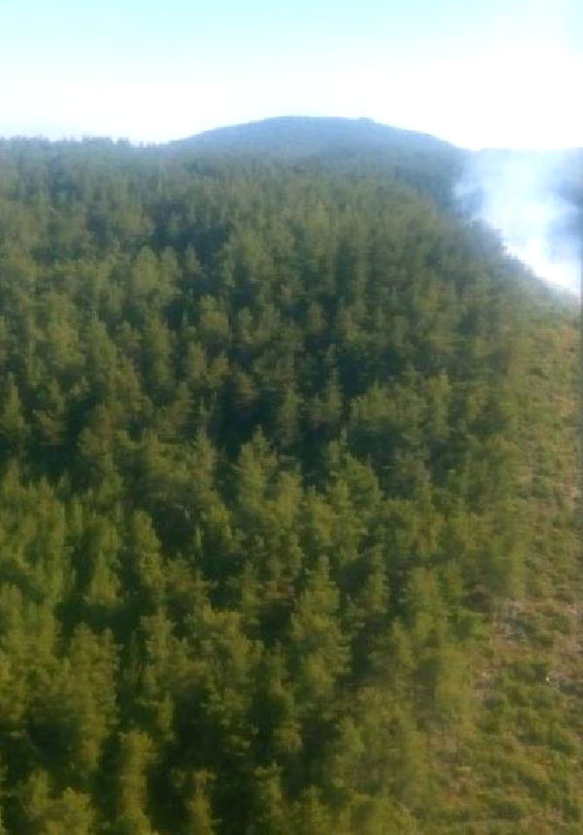 Muğla\'da 1 Dönüm Orman Yandı