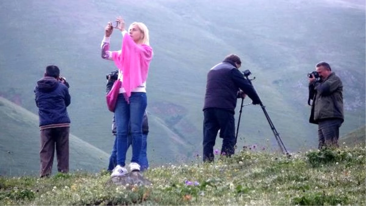 Türkiye\'nin Dört Bir Yanından Dağ Horozu İçin Geldiler Ama Göremediler