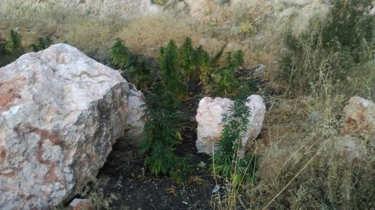Gaziantep\'te Uyuşturucu Operasyonu: 3 Gözaltı