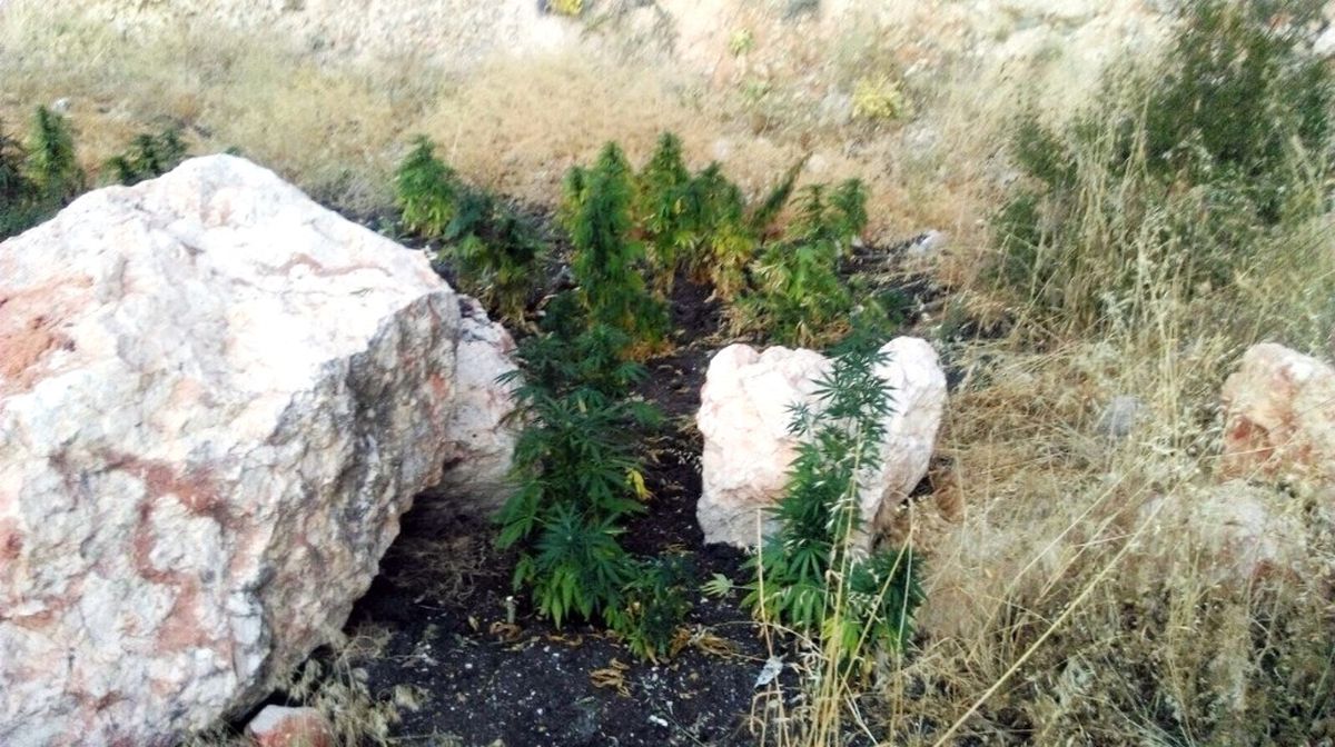 Gaziantep\'te Uyuşturucu Operasyonu: 3 Gözaltı