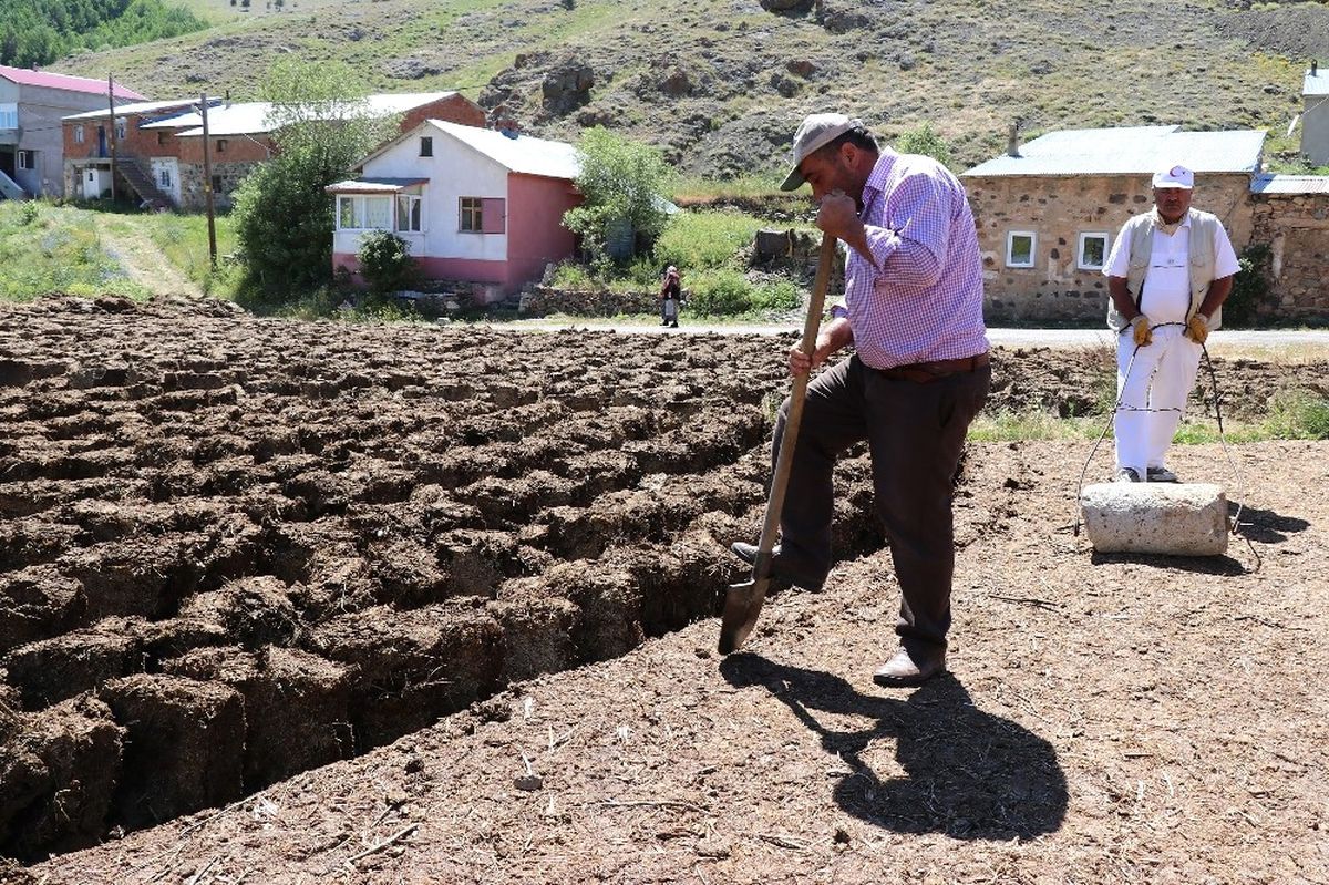 Kış İçin Hazırlıklara Şimdiden Başladılar