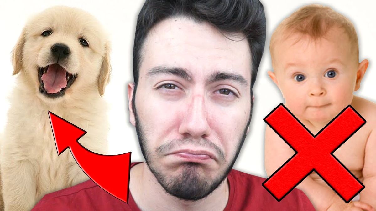 Köpek İçin Çocuk Öldürür Müsün ?