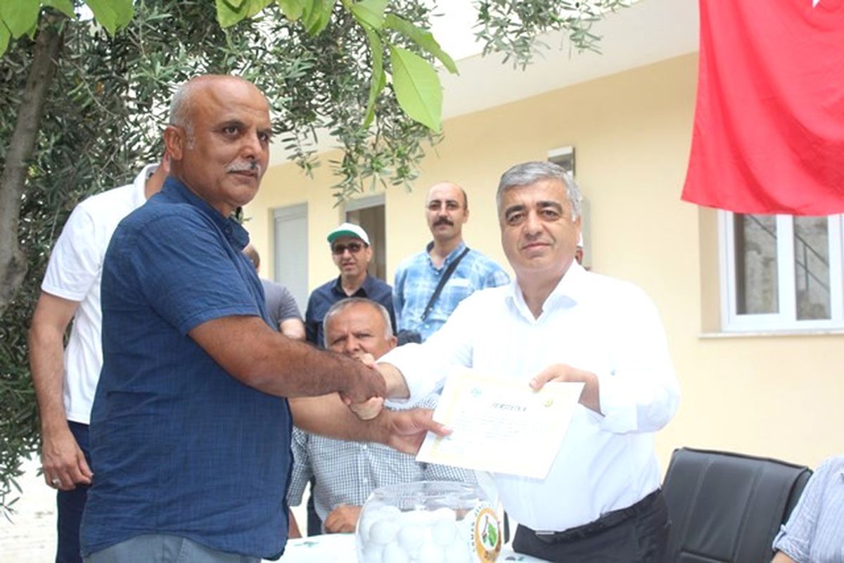 Adana\'da 55 Aileye Badem Ormanı