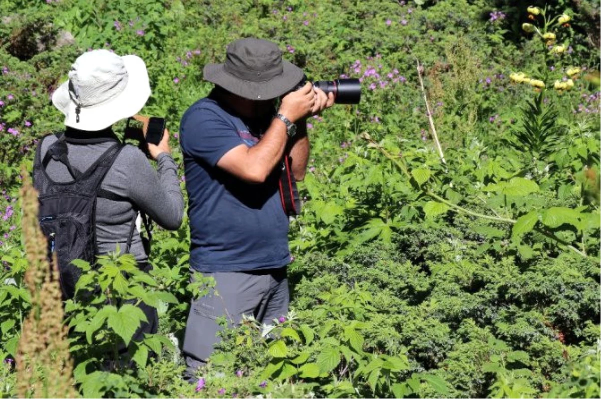 Gümüşhane\'de 1. Milli Parklar Ulusal Fotoğraf Kampı Başladı