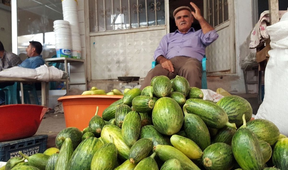 Midyat\'ın Yeşil Altını Tezgahlarda Yerini Aldı