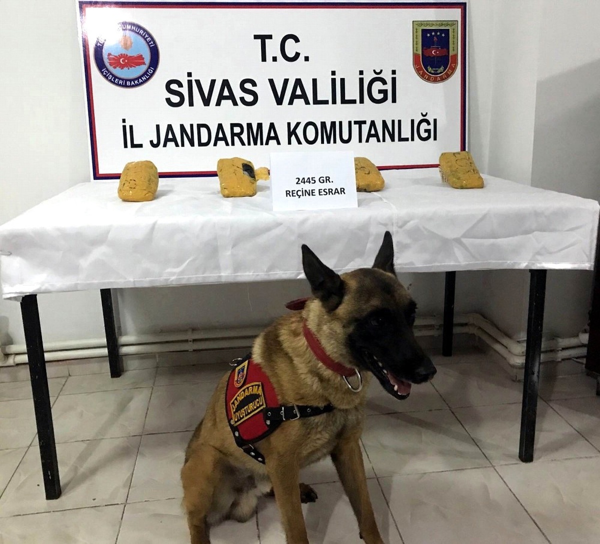 Sivas\'ta Yolcu Otobüsünde Esrar Ele Geçirildi