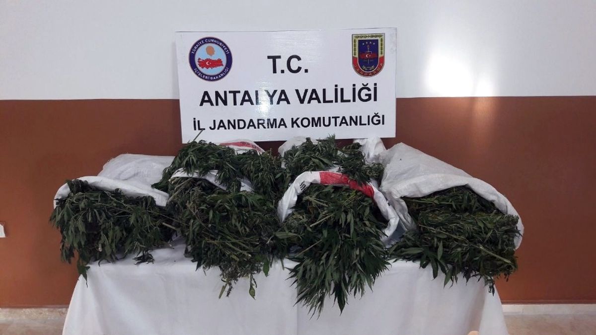 Alanya\'da 28 Kilo Esrar Ele Geçirildi