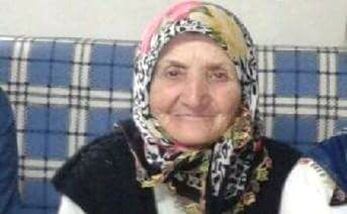 Alzheimer Hastası Yaşlı Kadın Kayboldu