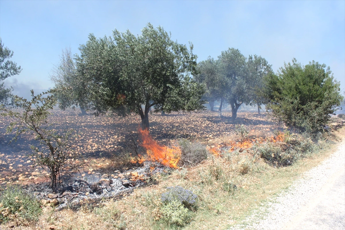 Çanakkale\'de Tarım Arazisinde Yangın