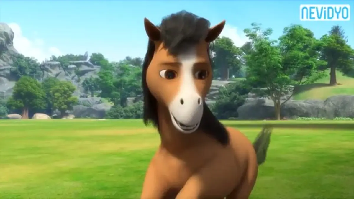 Doru Fragmanı İzle