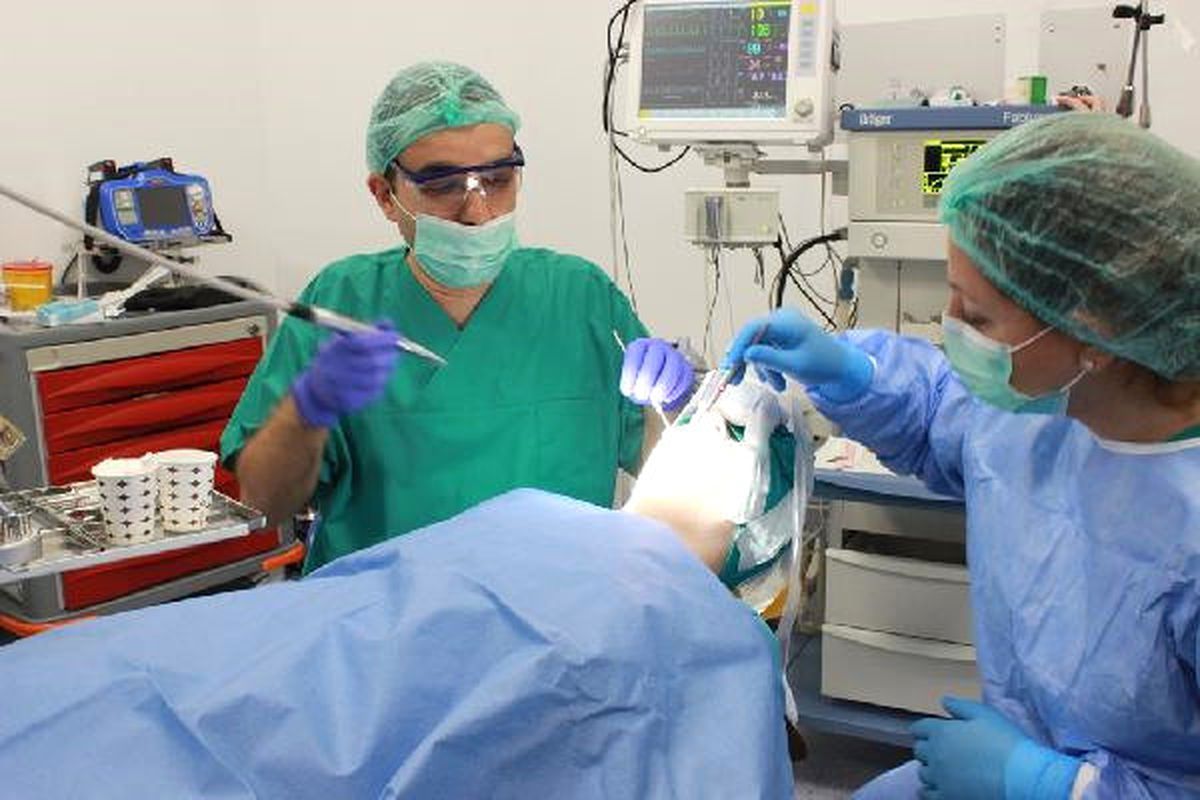 Engelli Hastalarda Diş Tedavisinde Genel Anestezi ile Çözüm